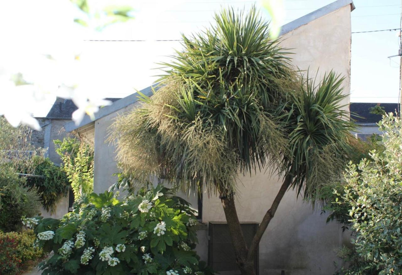 Duplex Confort Et Jardin Charmant Nantes Dış mekan fotoğraf